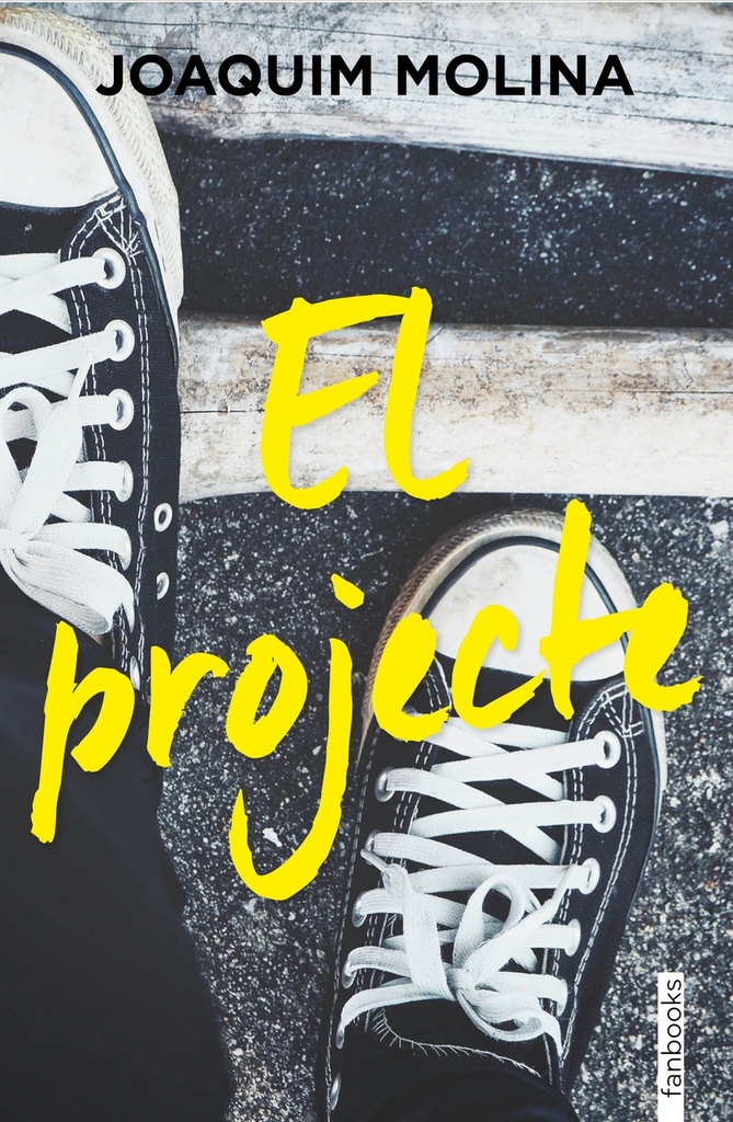 El projecte