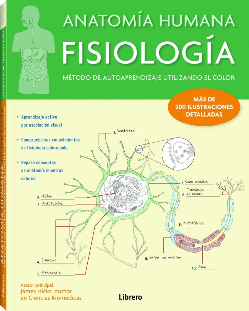 ANATOMÍA HUMANA FISIOLOGÍA