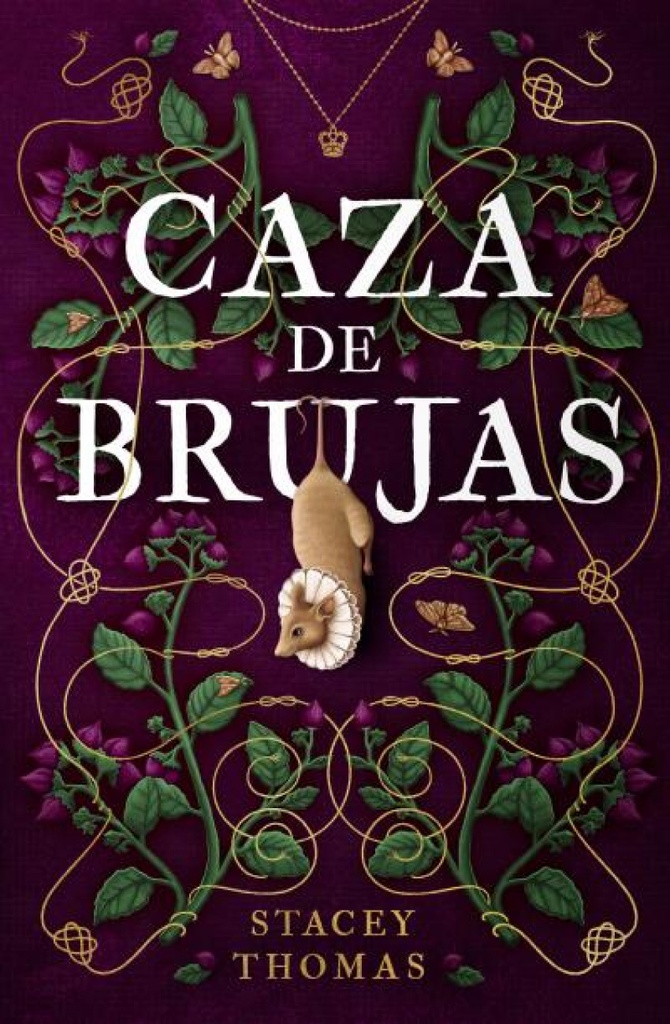 Caza de brujas