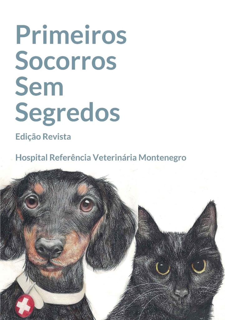 PRIMEIROS SOCORROS SEM SEGREDOS