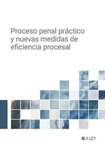 PROCESO PENAL PRACTICO Y NUEVAS MEDIDAS DE EFICIENCIA PROCESAL