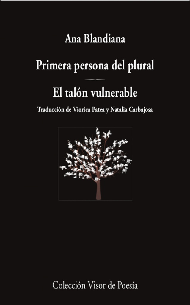 Primera persona del plural / El talón vulnerable