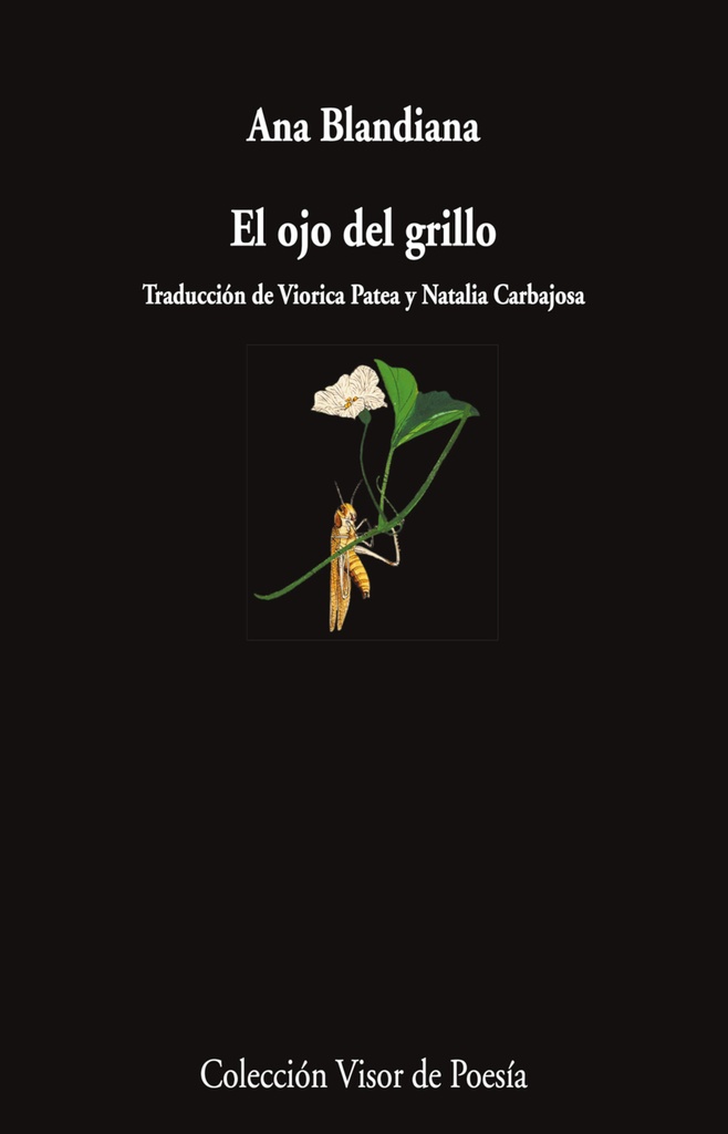 EL ojo del grillo