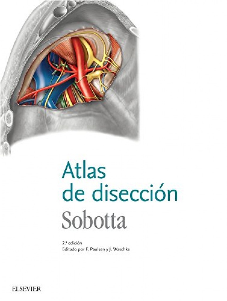 ATLAS DE DISECCIÓN. SOBOTTA