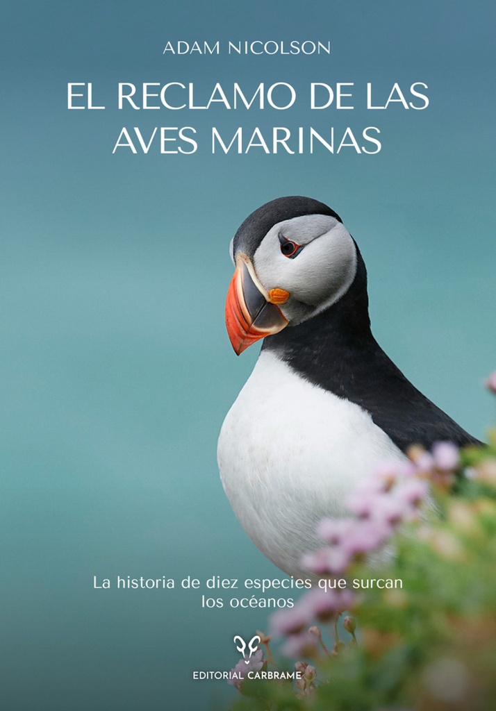 El reclamo de las aves marinas