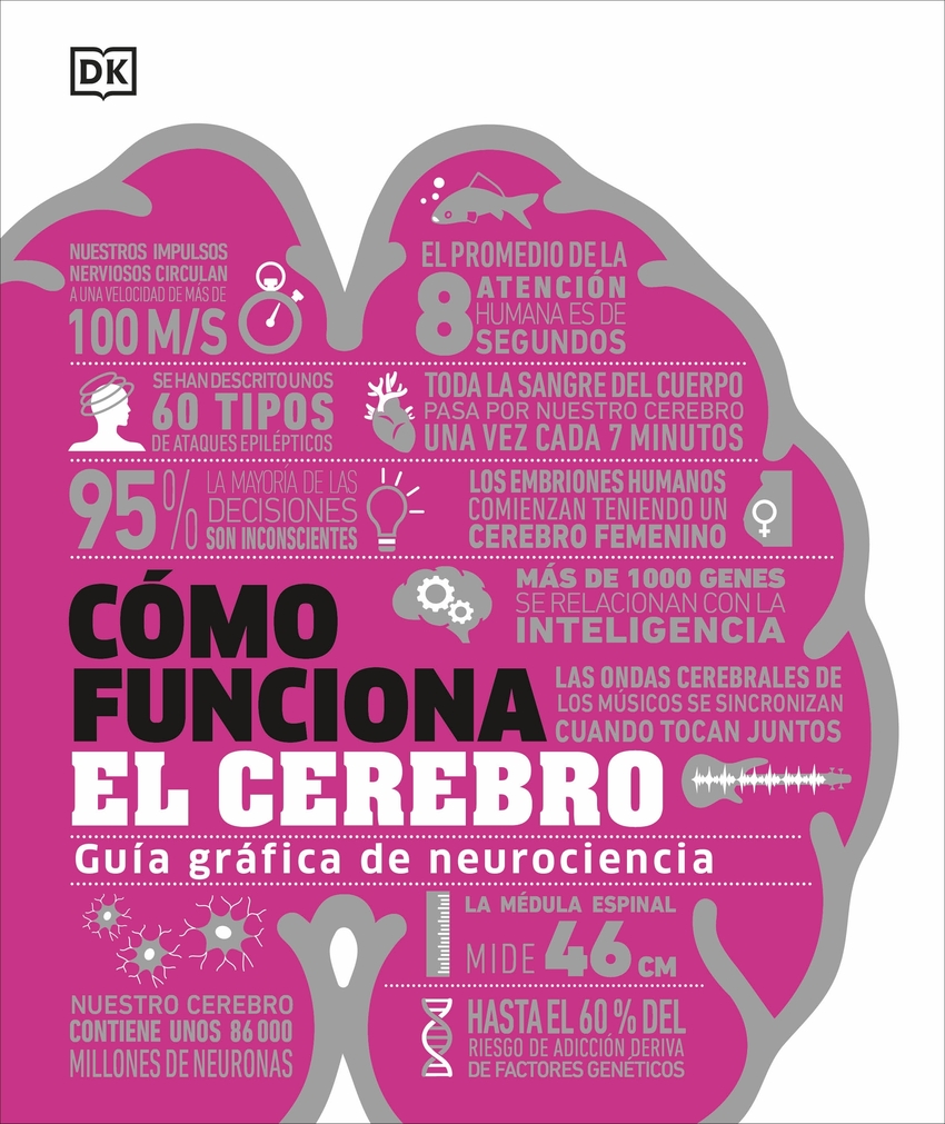 Cómo funciona el cerebro