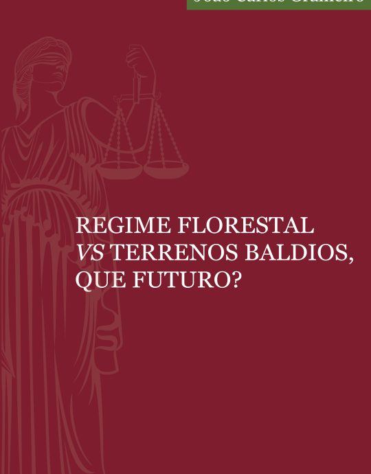 Regime florestal vs terrenos baldios, que futuro?