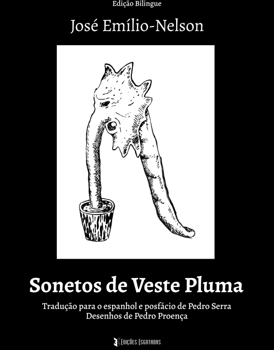 Sonetos de veste pluma