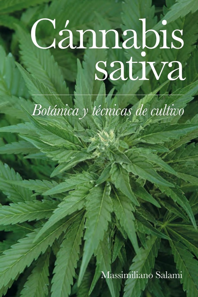 Cánnabis sativa