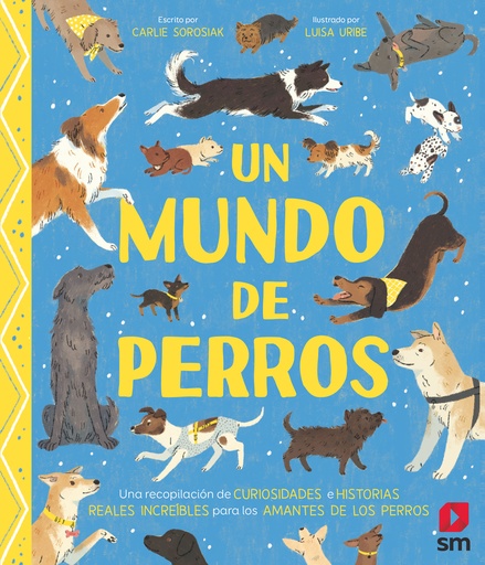 [9788411822862] Un mundo de perros