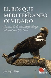 [9788419624826] El bosque mediterraneo olvidado:cronicas naturaleza