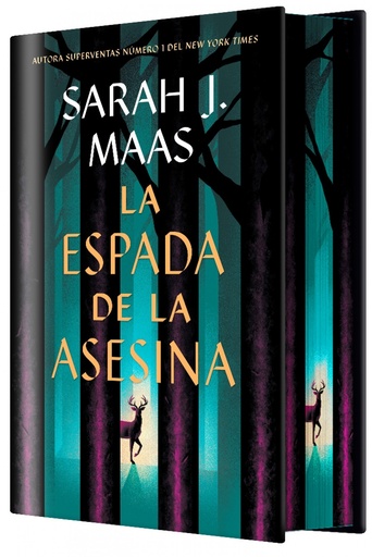 [9788410163737] ESPADA DE LA ASESINA, LA