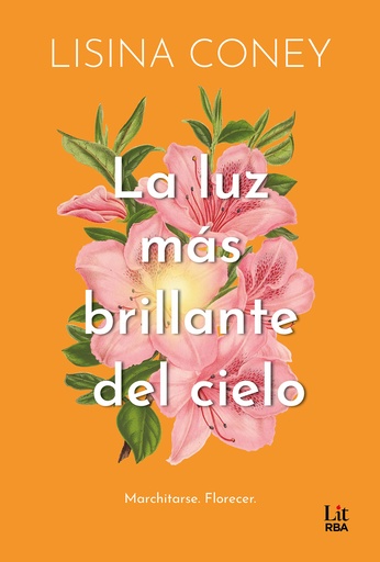 [9788411329323] La luz más brillante del cielo