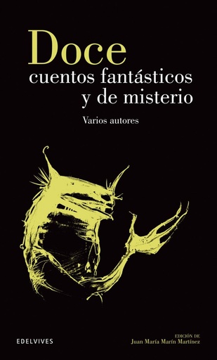 [9788426352637] Doce cuentos fantasticos y de misterio