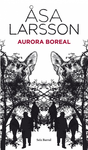 [9788432228513] Aurora boreal