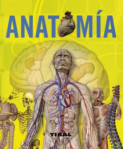 [9788499280011] Anatomía (Enciclopedia universal)