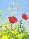 [9780746074503] How flowers grow