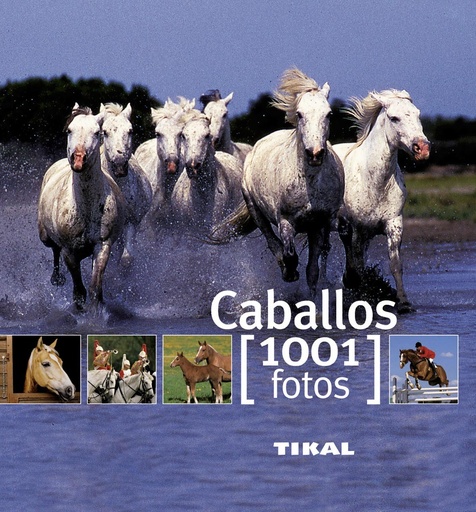 [9788499280875] Caballos