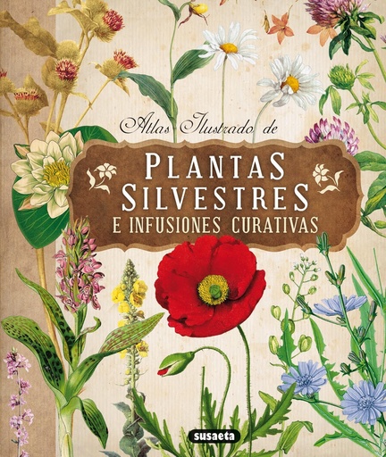[9788467722864] Plantas silvestres e infusiones curativas