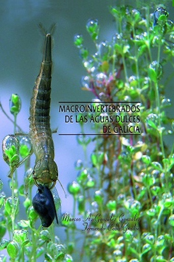 [9788496314405] Macroinvertebrados de las aguas dulces de Galicia