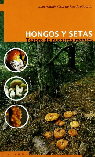 [9788495018977] Hongos y setas: tesoro de nuestros montes