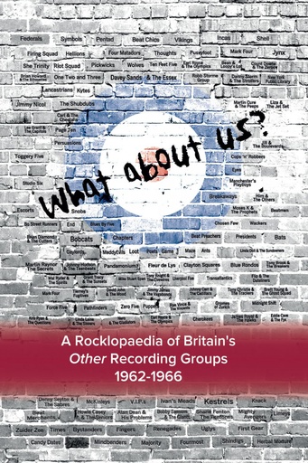 [9781909271821] WHAT ABOUT US : A ROCKLOPAEDIA OF BRITIAN´S OTHER RECORDING