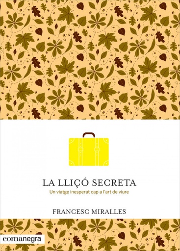 [9788416033720] La lliço secreta