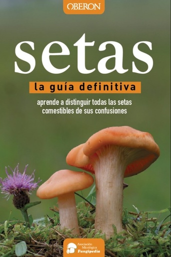 [9788441537842] Setas, guía definitiva