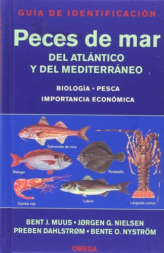 [9788428211611] Peces de mar atlántico y mediterraneo: guía identificación