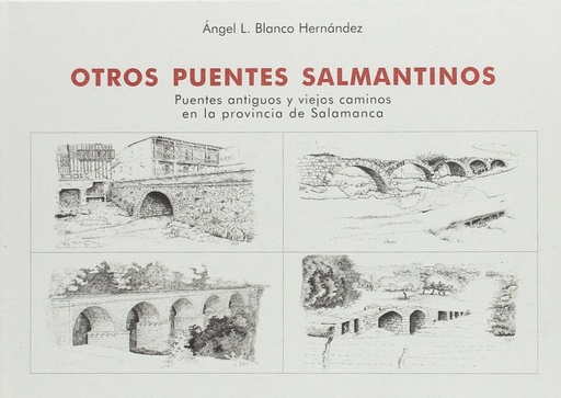 [9788495195647] Otros puentes salmantinos