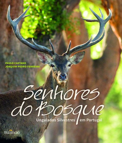 [9789725305522] Senhores do Bosque