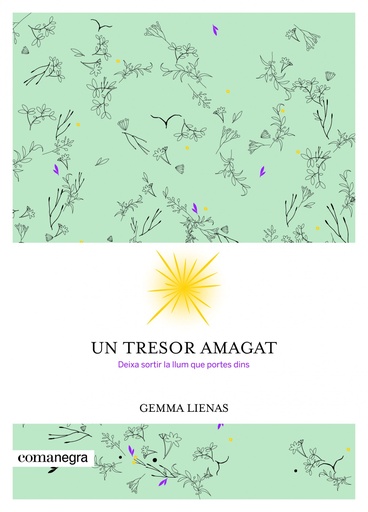 [9788416605347] UN TRESOR AMAGAT