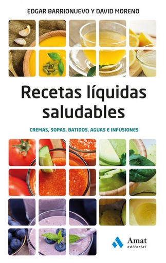 [9788497358804] Recetas liquidas saludables