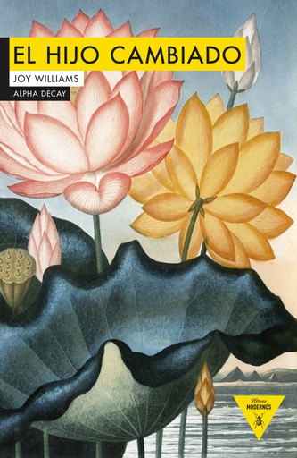 [9788494644207] EL HIJO CAMBIADO