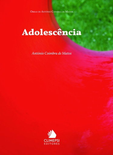 [9789727963249] Adolescencia