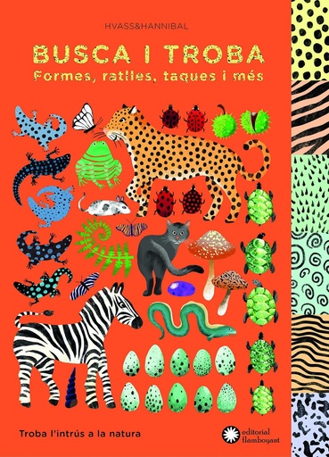 [9788494504242] BUSCA I TROBA FORMES, RATLLES, TAQUES I MÉS