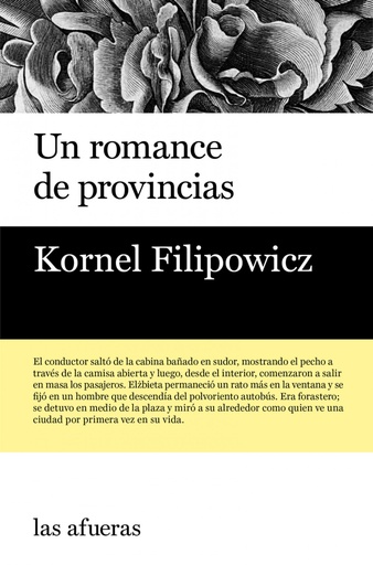 [9788494733710] UN ROMANCE DE PROVINCIAS
