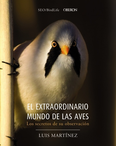 [9788441540330] EL EXTRAORDINARIO MUNDO DE LAS AVES