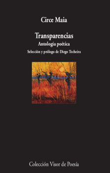 [9788498953435] TRANSPARENCIAS