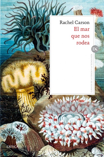 [9788491991069] EL MAR QUE NOS RODEA