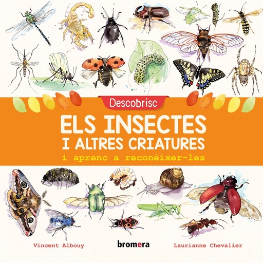 [9788490269169] DESCOBRISC ELS INSECTES I ALTRES CRIATURES I APRENC A RECONÉIXER-LES