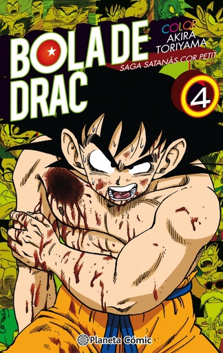 [9788491731467] BOLA DE DRAC COLOR COR PETIT 4