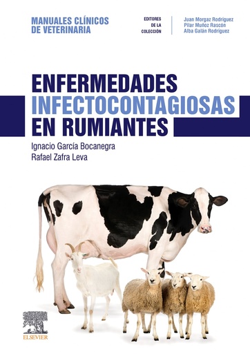 [9788491133537] ENFERMEDADES INFECTOCONTAGIOSAS EN RUMIANTES