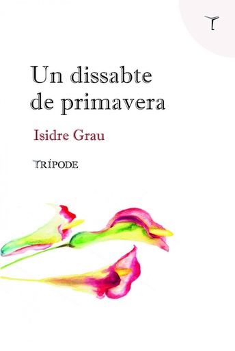 [9788412065152] Un dissabte de primavera