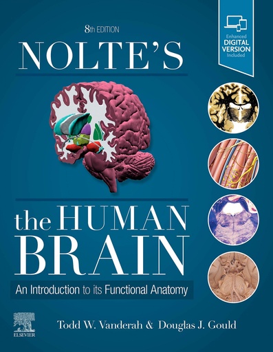 [9780323653985] Nolte´s the human brain