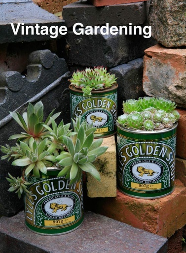 [9783741923630] VINTAGE GARDENING