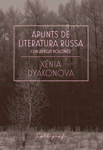 [9788412212358] Apunts de literatura russa i un afegit polonès