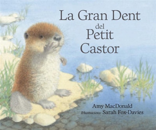 [9788493933944] La gran dent del petit castor