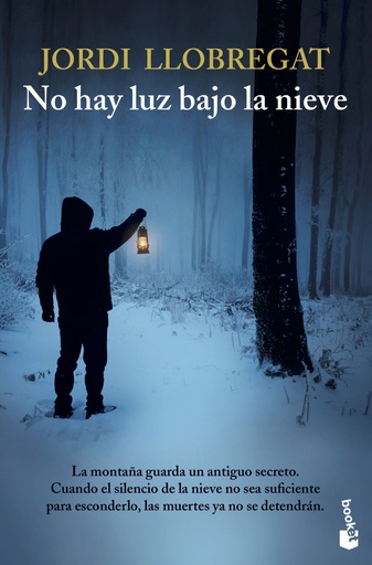 [9788423358793] No hay luz bajo la nieve