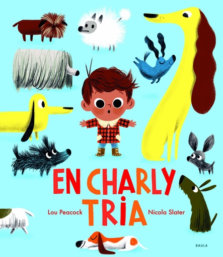 [9788447942770] En Charly tria